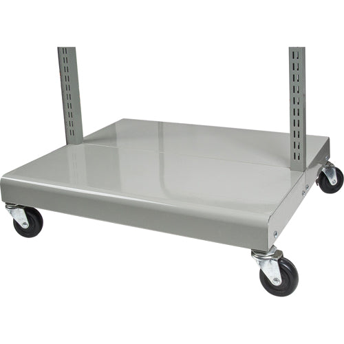 Servante mobile de bacs à plateaux inclinables - chariot seulement, À deux côtés, 26-1/4" la x 22" p x 57-1/2" h - CF475