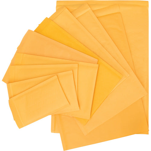 Enveloppes postales coussinées, Kraft, 5" la x 10" lo - PG239