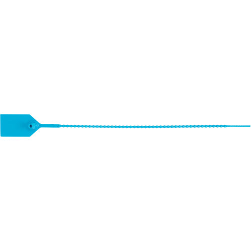 Scellé de sécurité standard, 12", Plastique, Scellé en plastique - PG668