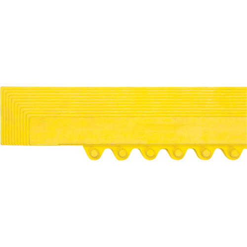 Carpet Edging Ramp - SDL869