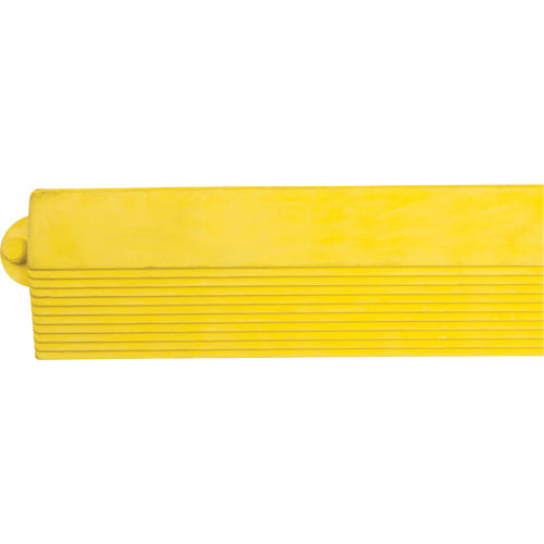 Carpet Edging Ramp - SDL870