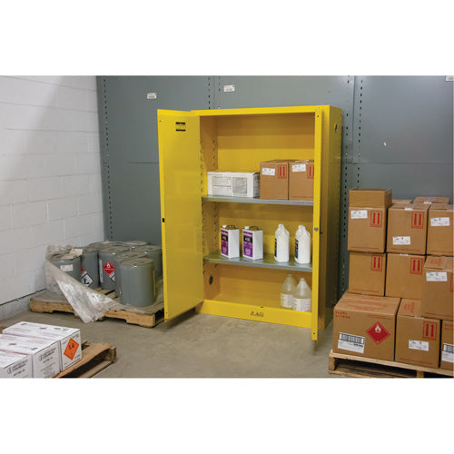 Armoire pour produits inflammables, 45 gal., 2 Porte(s), 43" La x 65" h x 18" p - SDN647
