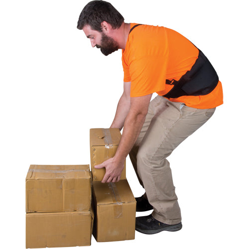 Support lombaire, Élastique, Moyen - SEE906