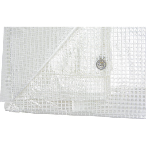 Bâches transparentes, 40' x 30' x 8 mils - NN421