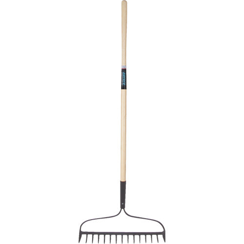 Heavy Duty Arch Rake, Wood Handle, 58" L, 15" Blade, 15 Teeth - NN242