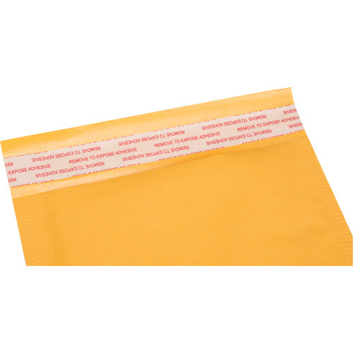 Padded Mailing Envelopes, Kraft, 6" W x 10" L - PG238