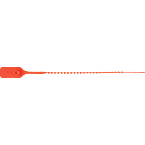 Standard Security Seal, 9", Plastic, Push &amp; Pull - PG673