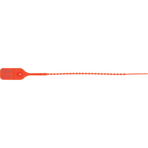 Standard Security Seal, 9", Plastic, Push &amp; Pull - PG673