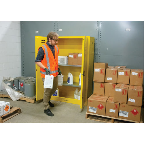 Armoire pour produits inflammables, 45 gal., 2 Porte(s), 43" La x 65" h x 18" p - SDN647