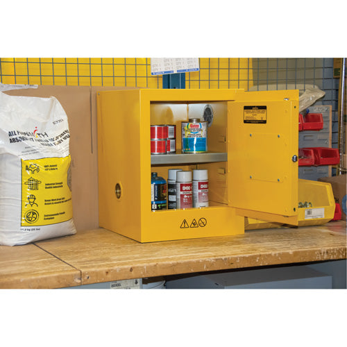 Armoire pour produits inflammables, 4 gal., 1 Porte(s), 17" La x 22" h x 18" p - SGU584
