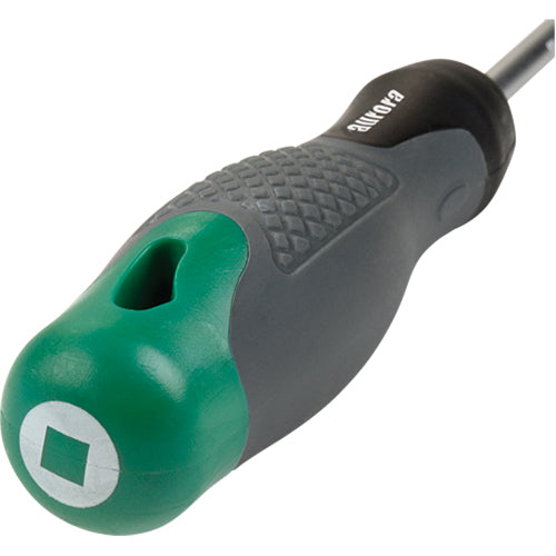 Square Tip Screwdriver - TJZ072